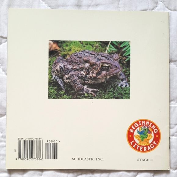 3/$15 🌸 Look-Alike Animals - Picture 2 of 7